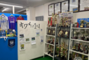 【１対１を極める】上田綺世選手も輩出する、マルバサッカースクールで " テクダマ " に挑戦！ 